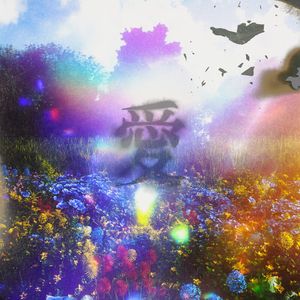 酒井千波无码破解版在线
