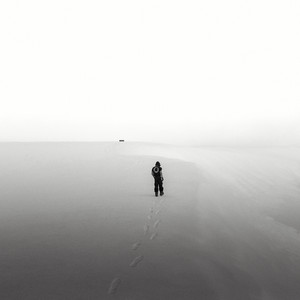 酒井千波无码破解版在线
