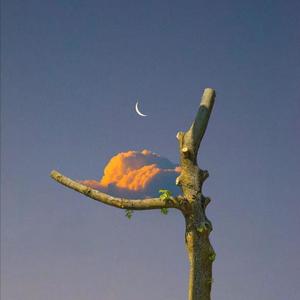 酒井千波无码破解版在线
