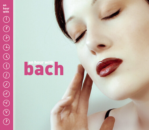 酒井千波无码破解版在线
